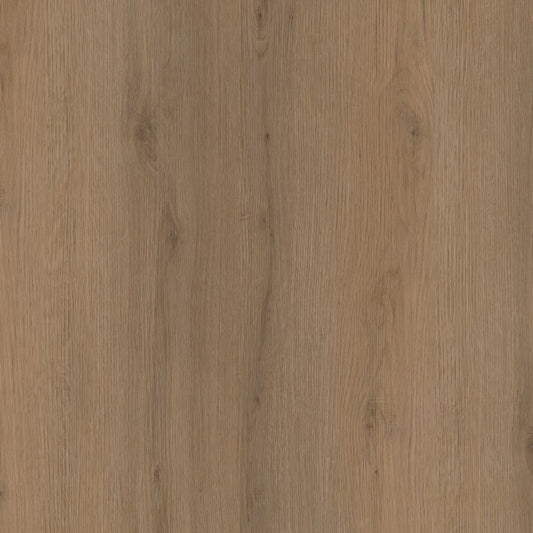 Ambiant Venera dryback dark oak