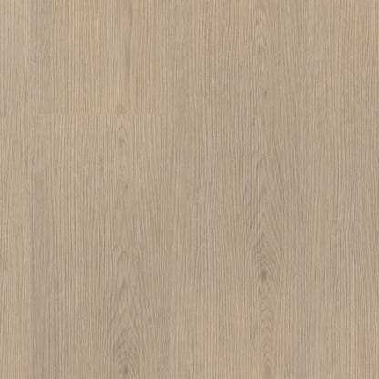 Ambiant Venera dryback beige
