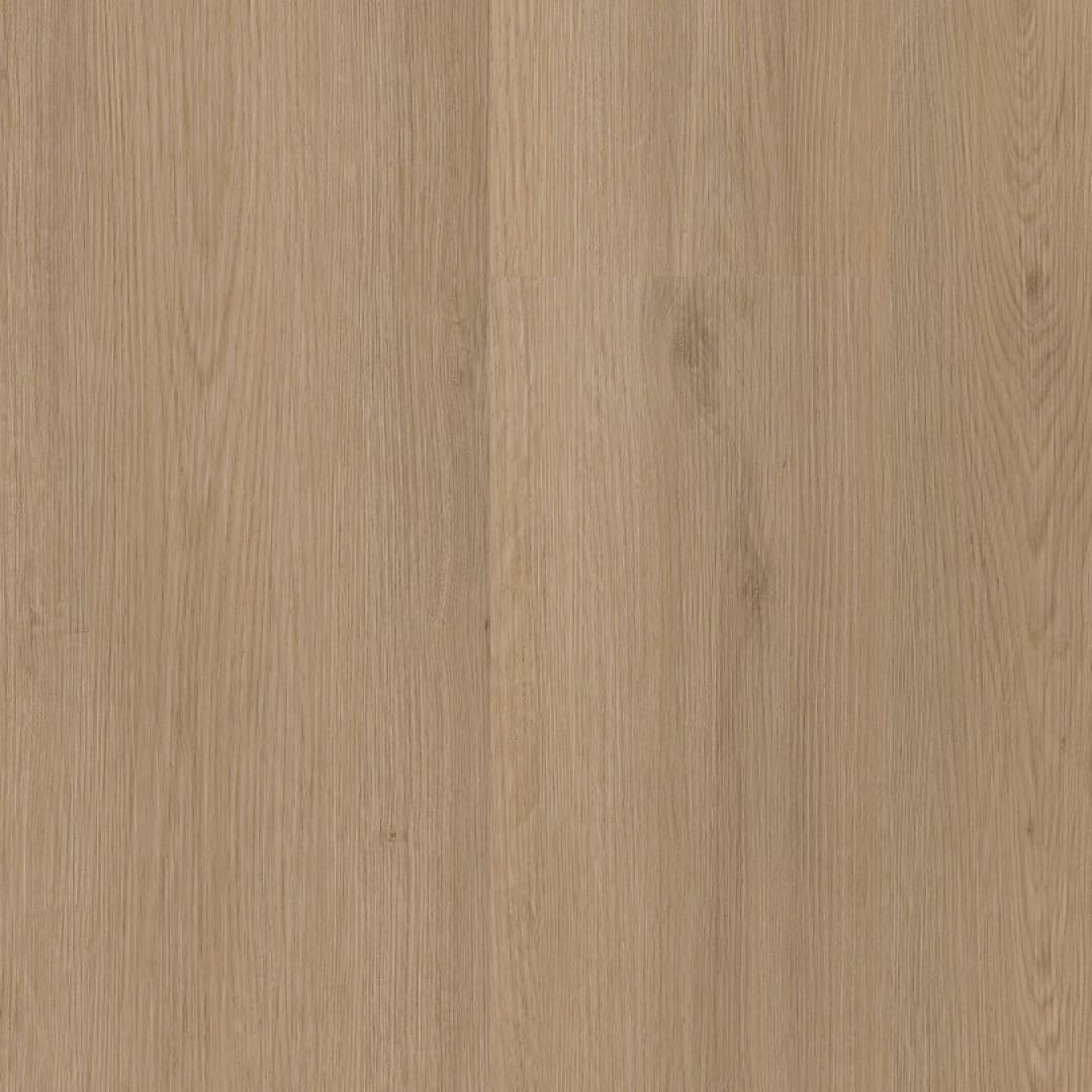 Ambiant Venera dryback natural oak