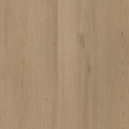 Ambiant Venera dryback natural oak