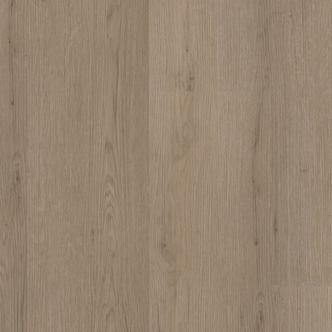 Ambiant Venera click smoky