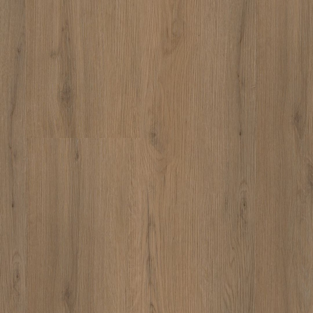 Ambiant Venera click dark oak