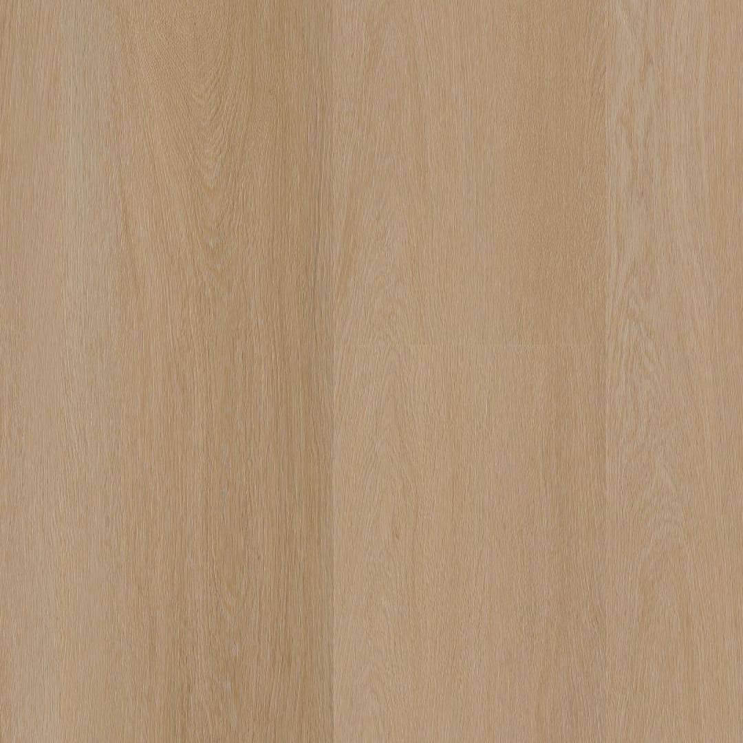 Ambiant Estino dryback natural oak