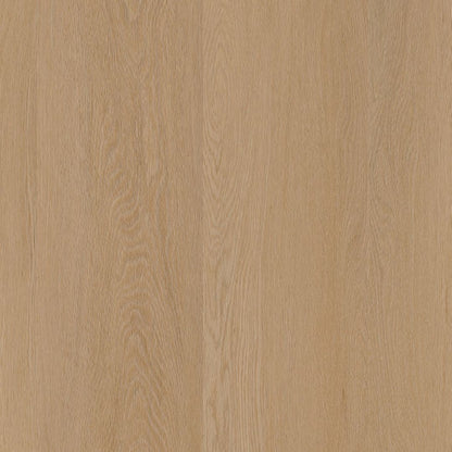 Ambiant Estino dryback dark oak