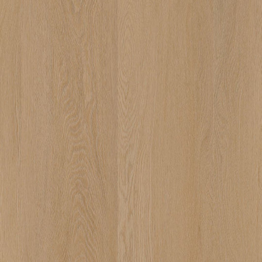 Ambiant Estino dryback dark oak
