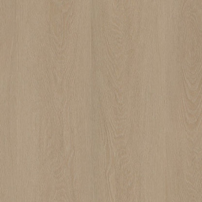 Ambiant Estino dryback smoky