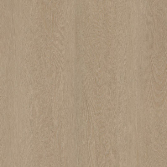 Ambiant Estino dryback smoky
