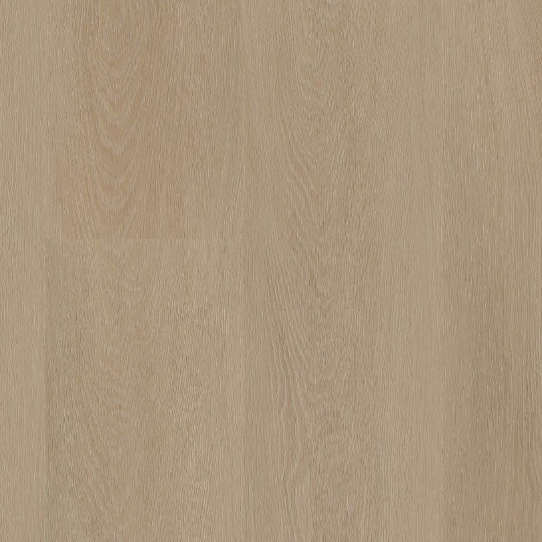 Ambiant Estino click SRC smoky