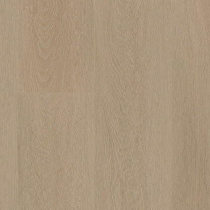 Ambiant Estino click SRC smoky