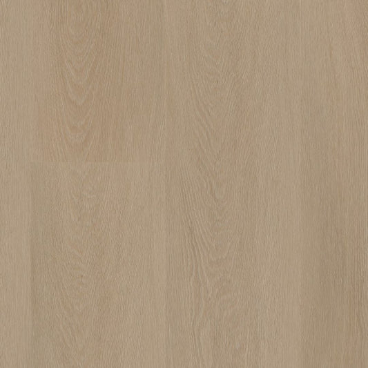 Ambiant Estino click SRC smoky