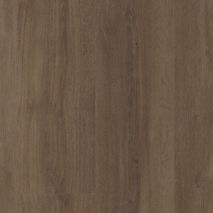 Ambiant Espero dryback warm brown