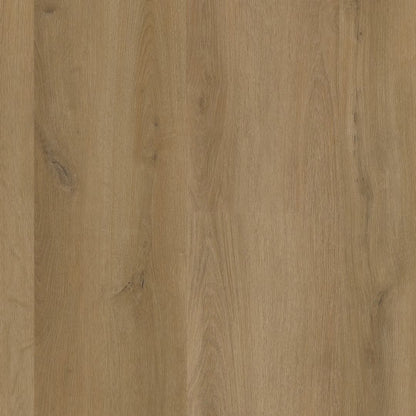 Ambiant Espero click SRC dark oak