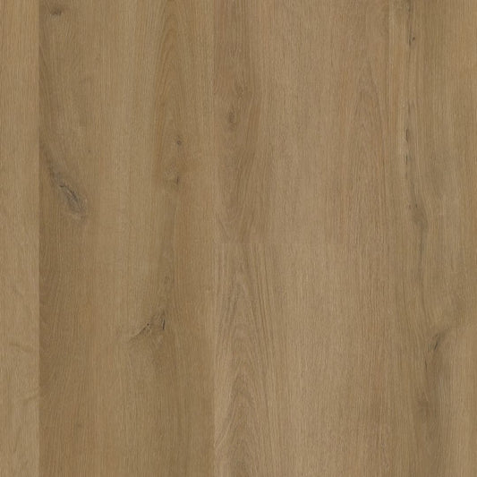 Ambiant Espero click SRC dark oak