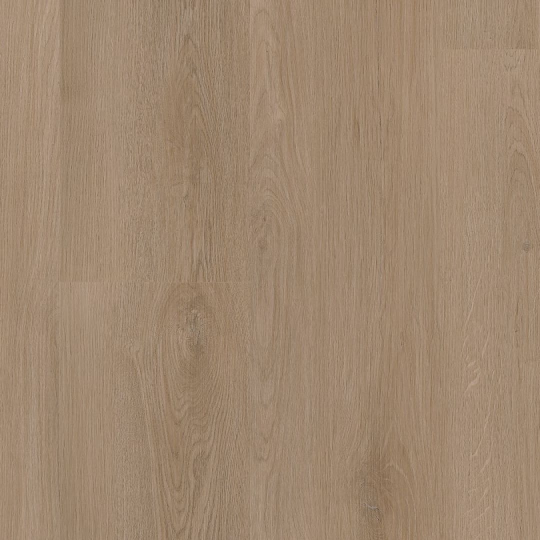 Ambiant Navaro dryback dark oak