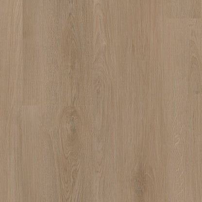 Ambiant Navaro dryback dark oak