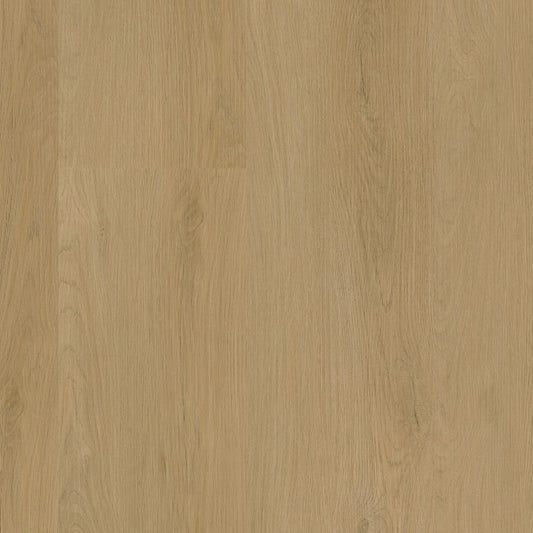 Ambiant Navaro click light oak