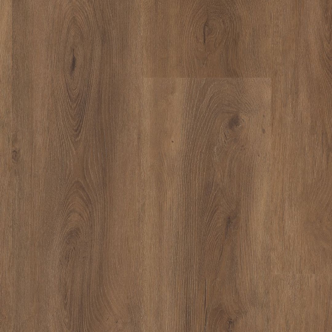 Ambiant Robusto dryback warm brown