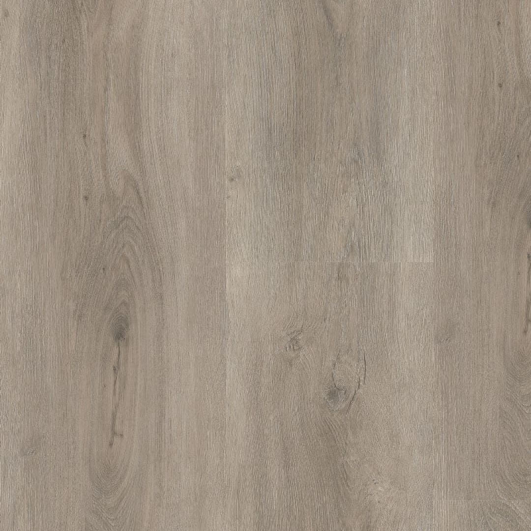 Ambiant Robusto dryback light grey
