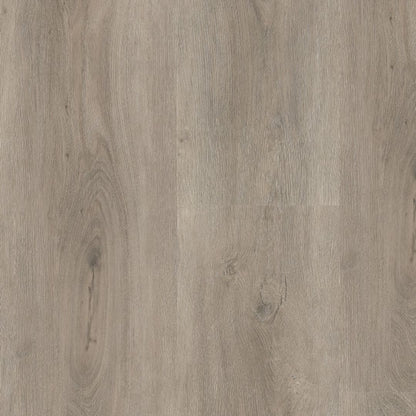 Ambiant Robusto dryback light grey