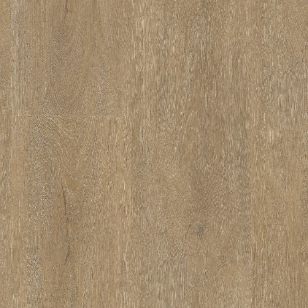 Ambiant Robusto dryback natural oak