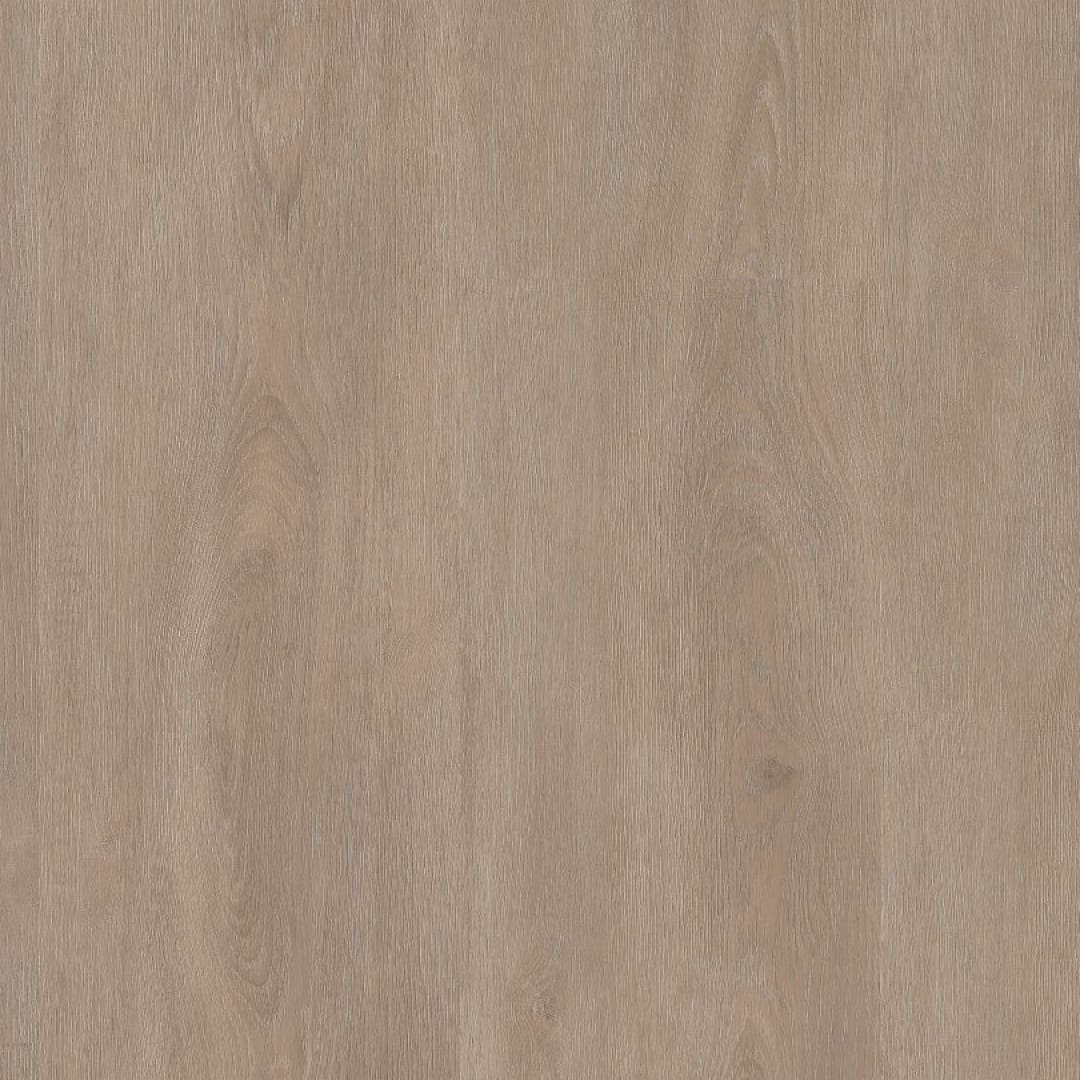 Ambiant Robusto dryback light oak