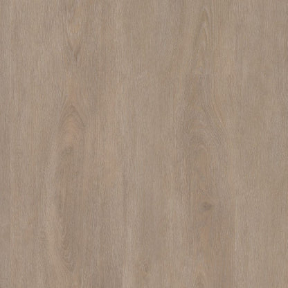 Ambiant Robusto dryback light oak
