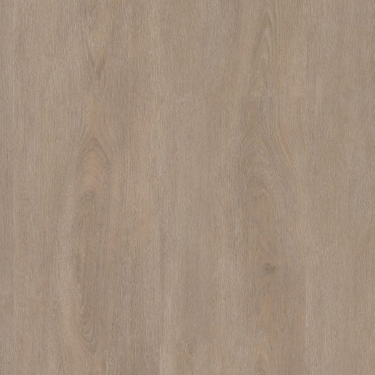 Ambiant Robusto dryback light oak