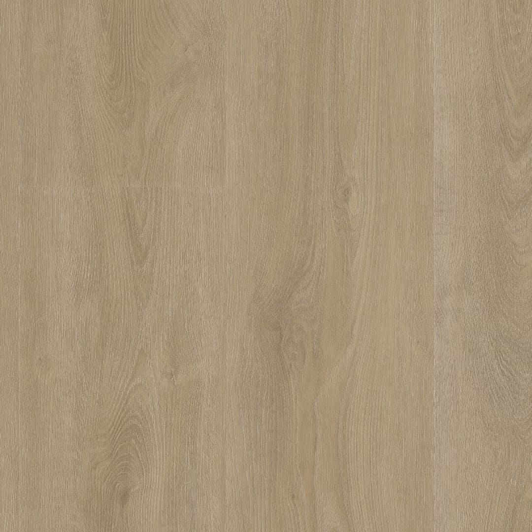 Ambiant Robusto dryback beige
