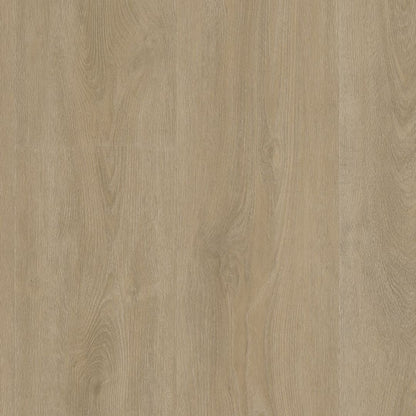 Ambiant Robusto dryback beige