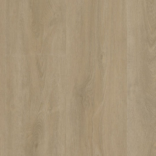 Ambiant Robusto dryback beige