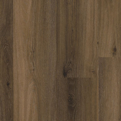 Ambiant Avanto dryback warm brown