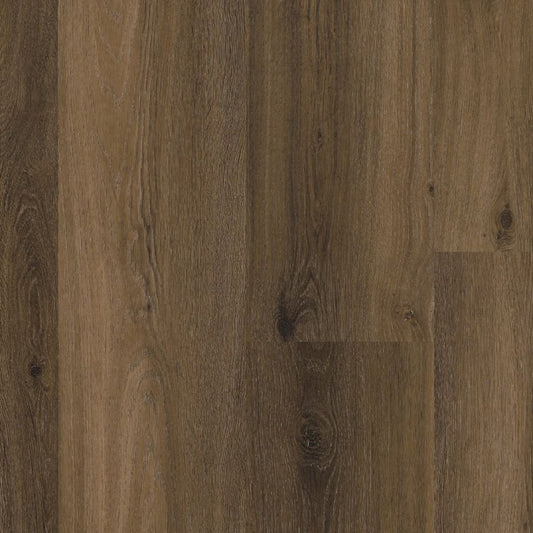 Ambiant Avanto dryback warm brown