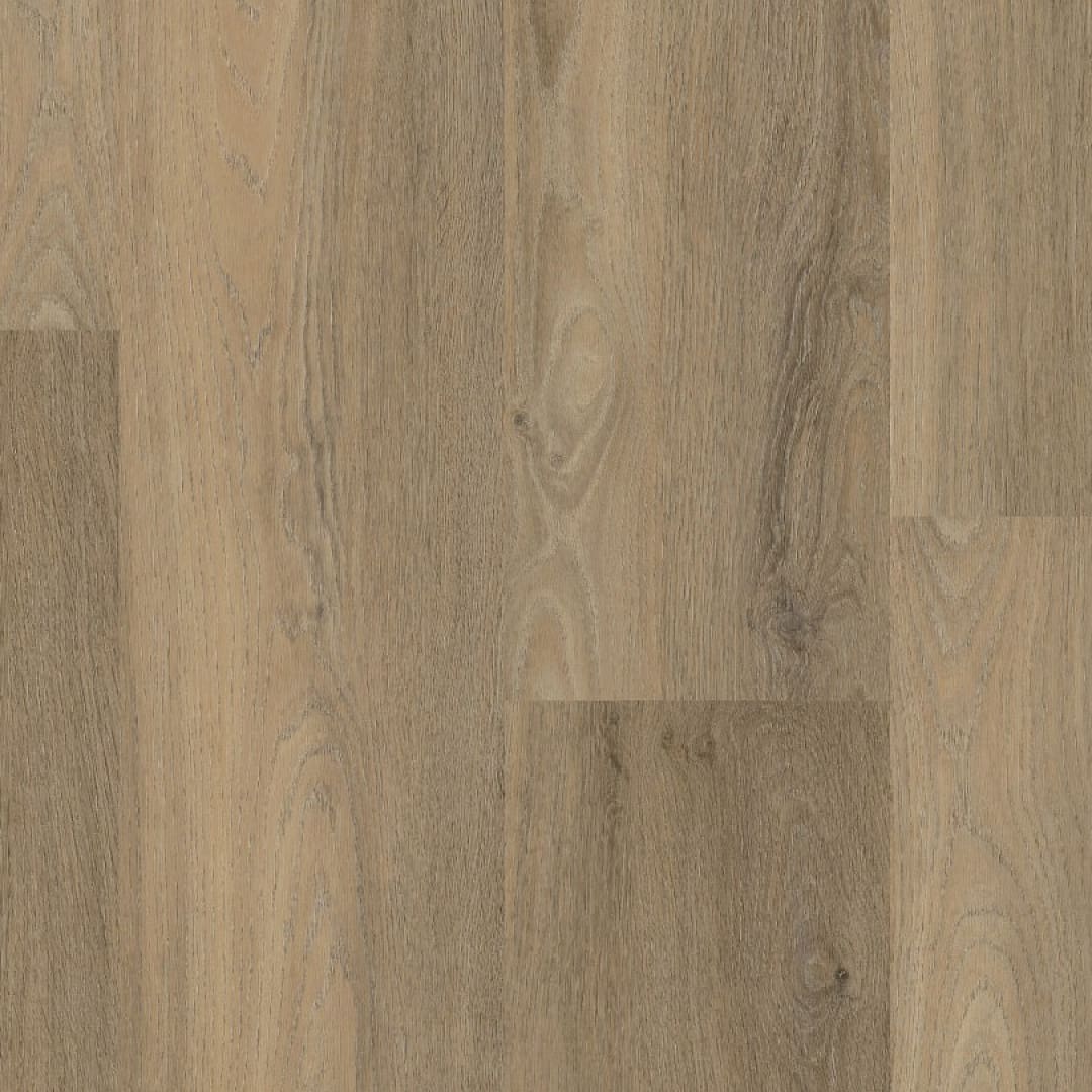 Ambiant Avanto dryback smoky