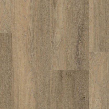 Ambiant Avanto dryback smoky