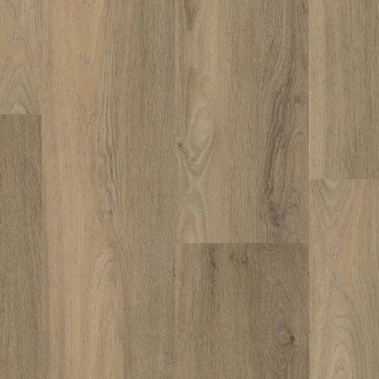 Ambiant Avanto dryback smoky