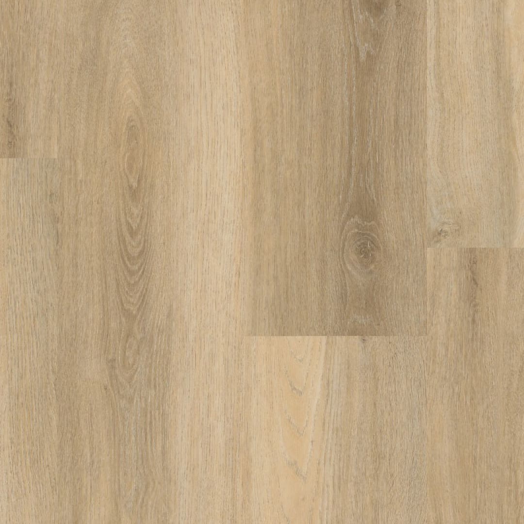 Ambiant Avanto dryback beige