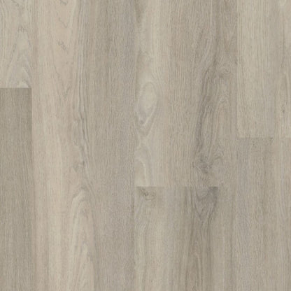 Ambiant Avanto dryback light grey