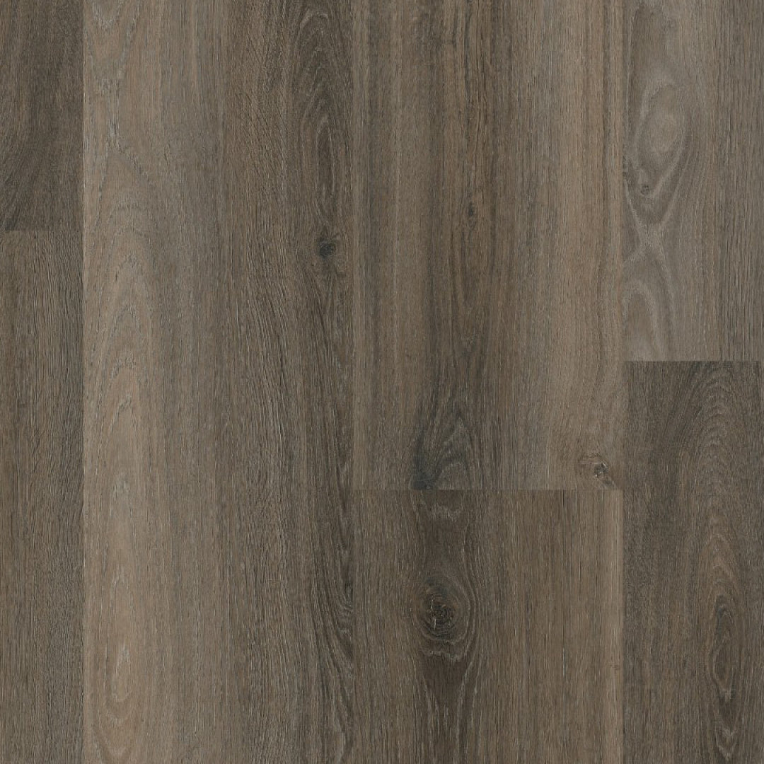Ambiant Avanto dryback dark grey