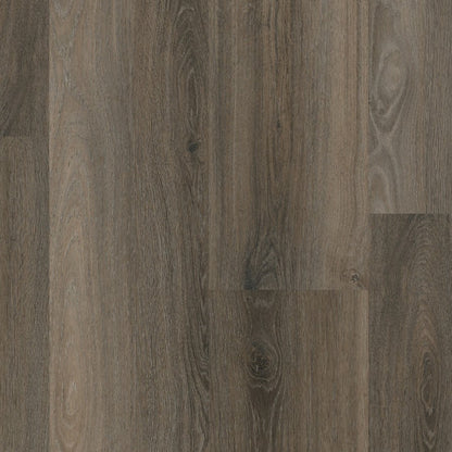 Ambiant Avanto dryback dark grey