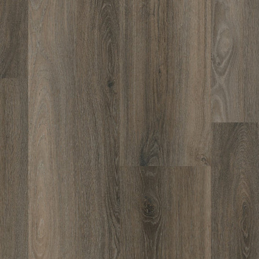 Ambiant Avanto dryback dark grey