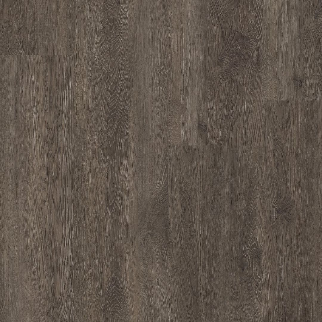 Ambiant Supremo dryback dark grey