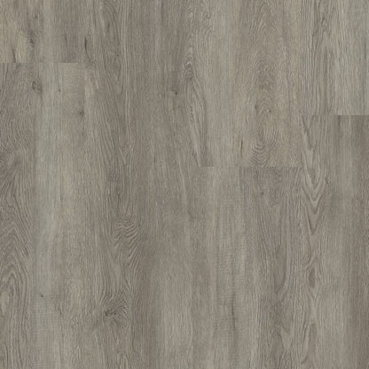 Ambiant Supremo dryback grey